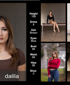 Digital Comp Dalila