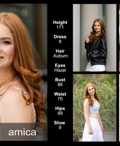 Amica CompFINAl