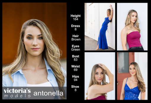 antonella comp card